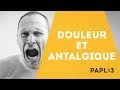 PAPL 3 - Douleur et Antalgique