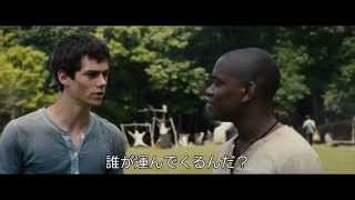 映画「メイズ・ランナー」特別映像（ランナーの掟）