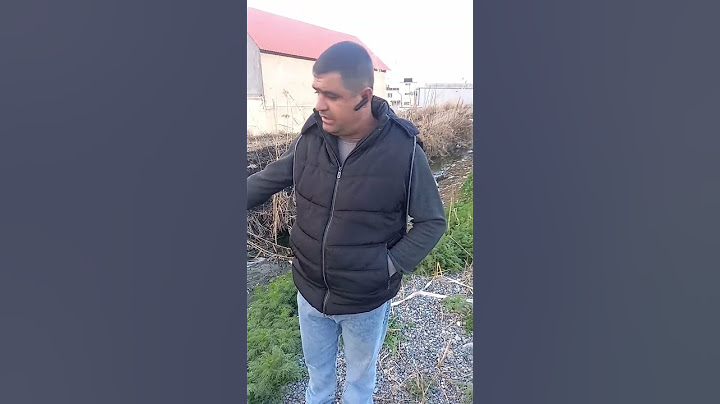 Պարոն Փաշինյան, էլի ես եմ․․․  #հայկական #հայաստան #haykakan #հայաստան