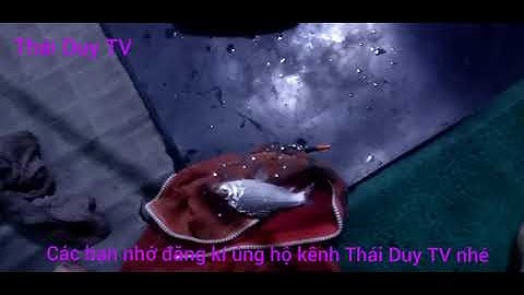 Đi câu cá bằng máy bay hồ cần nôm tập 2