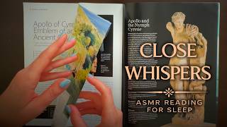 ASMR Reading You to Sleep 😴 Medieval Chess & Ancient Discoveries | Close Whispers