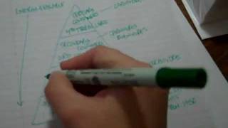 Biology, Principles of Ecology #4