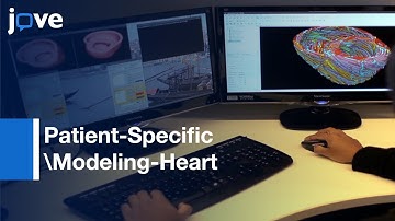 Patient-Specific Modeling-Heart: Estimation Of Ventricular Fiber Orientations l Protocol Preview