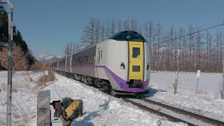 根室本線 キハ261系特急とかち 未除雪の踏切通過 (遮断棒に叩かれました)