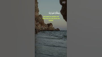 يا أيها الناس إنا خلقناكم من ذكرٍ وأنثى وجعلناكم شعوباً وقبائل ||   سورة الحجرات|| حالات واتس قرآن
