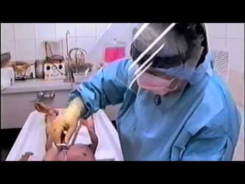The Embalming Process Mp4 Youtube