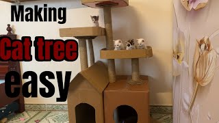 Making a cat house out of cardboard is extremely easy