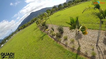 Libre Pilot Supermoon Eclipse CC3D Quadcopter QUADI 300 Acro+ Mode