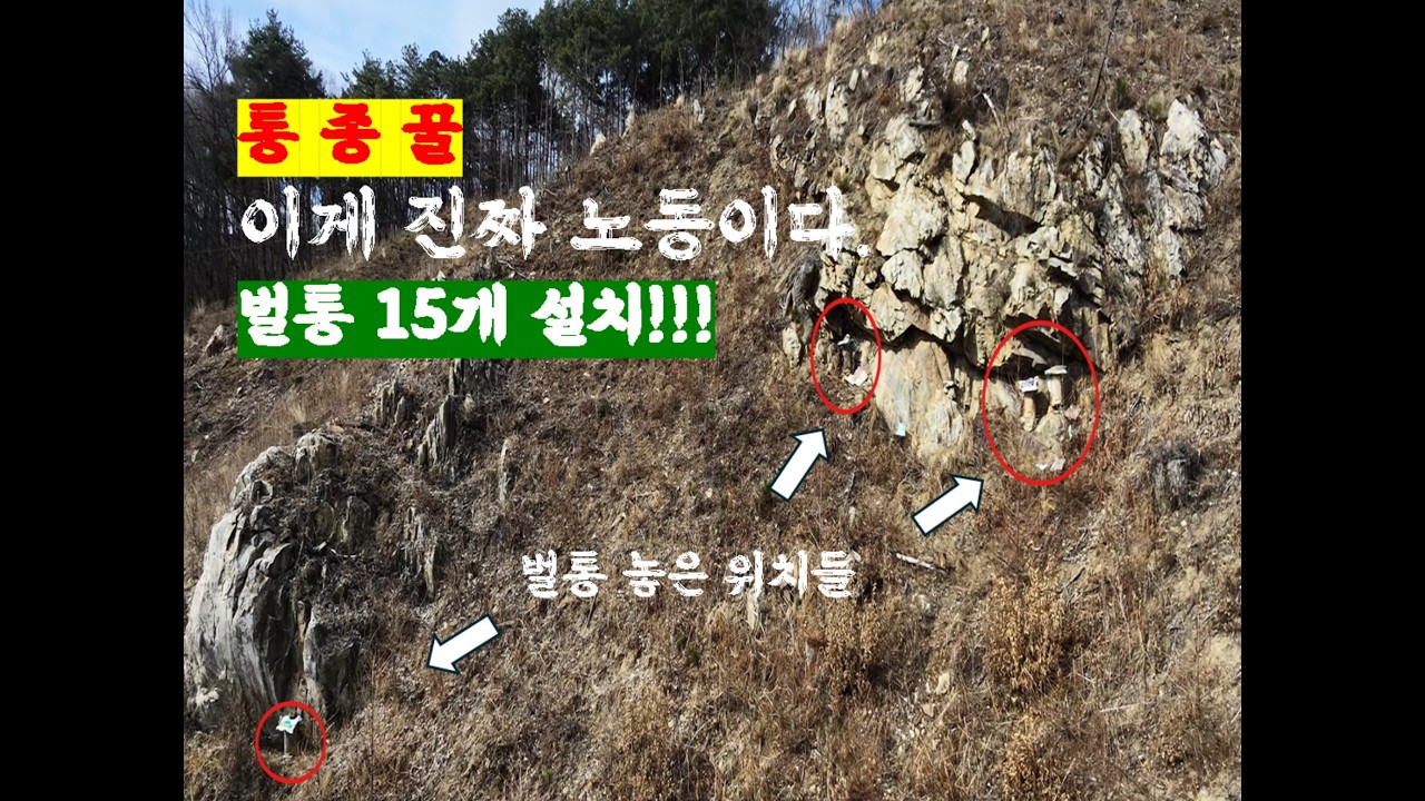 [황금이네] 하루 15개 벌통 설치 브이로그!! 아침부터 저녁까지 토종꿀 유인 벌통 설치 리얼 현장