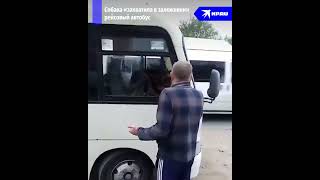 Собака «взяла в заложники» автобус #собака #автобус #овчарка