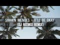 Shawn Mendes - It'll Be Okay (Dj Heemix Remix)