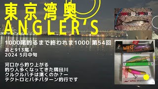 【東京湾奥】周りの人は釣れているのか？／隅田川／バチパターン／シーバス釣り【シーバス釣り】2024 5月中旬　Can We Catch Fish In Tokyo Bay? #54