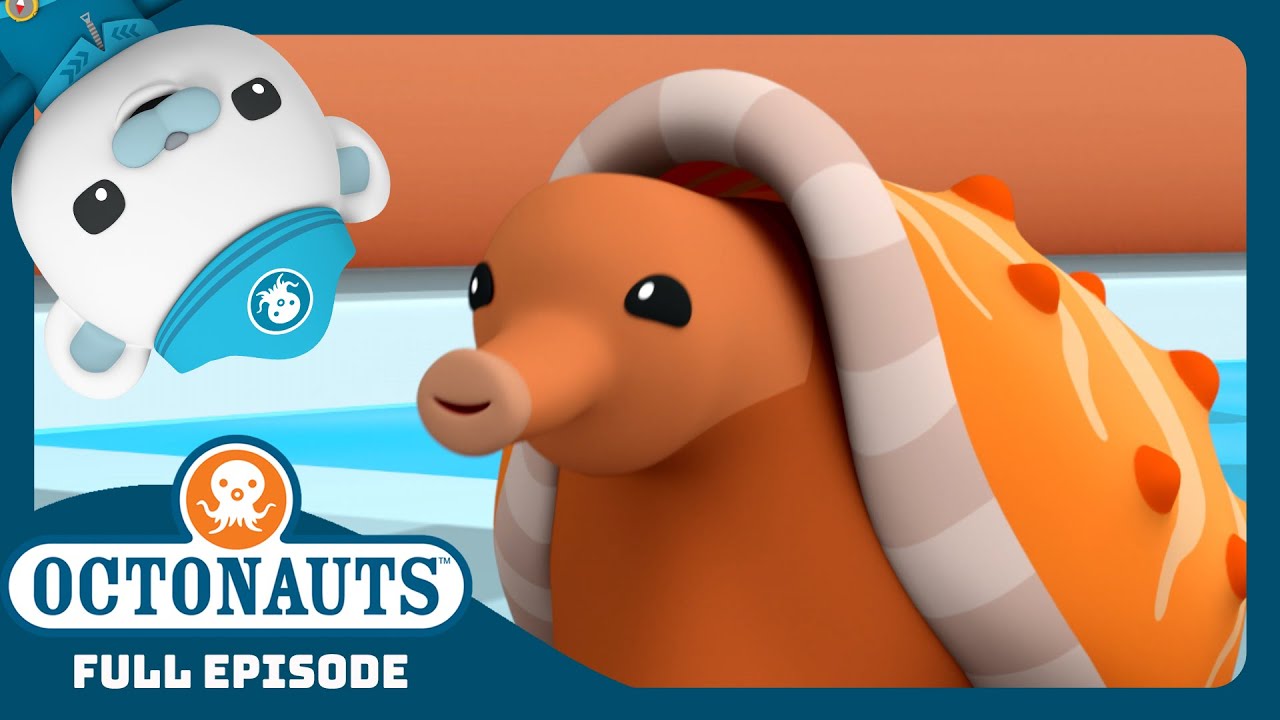@Octonauts - 😱 The Cone Snail Invasion 🐌 | Season 3 | Full Episode ...