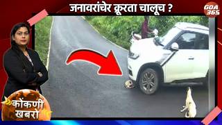 Goa365 Konkani Khobro || 13th Aug 2026