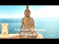 2 hours of the best relaxing india chill out del mar 2020 spirit of buddha  loungecontinuous mix