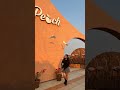 Surprise visit! 😬#birds #travel #delhi #beautiful #cute #aivideo