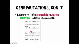 Mutations Lecture