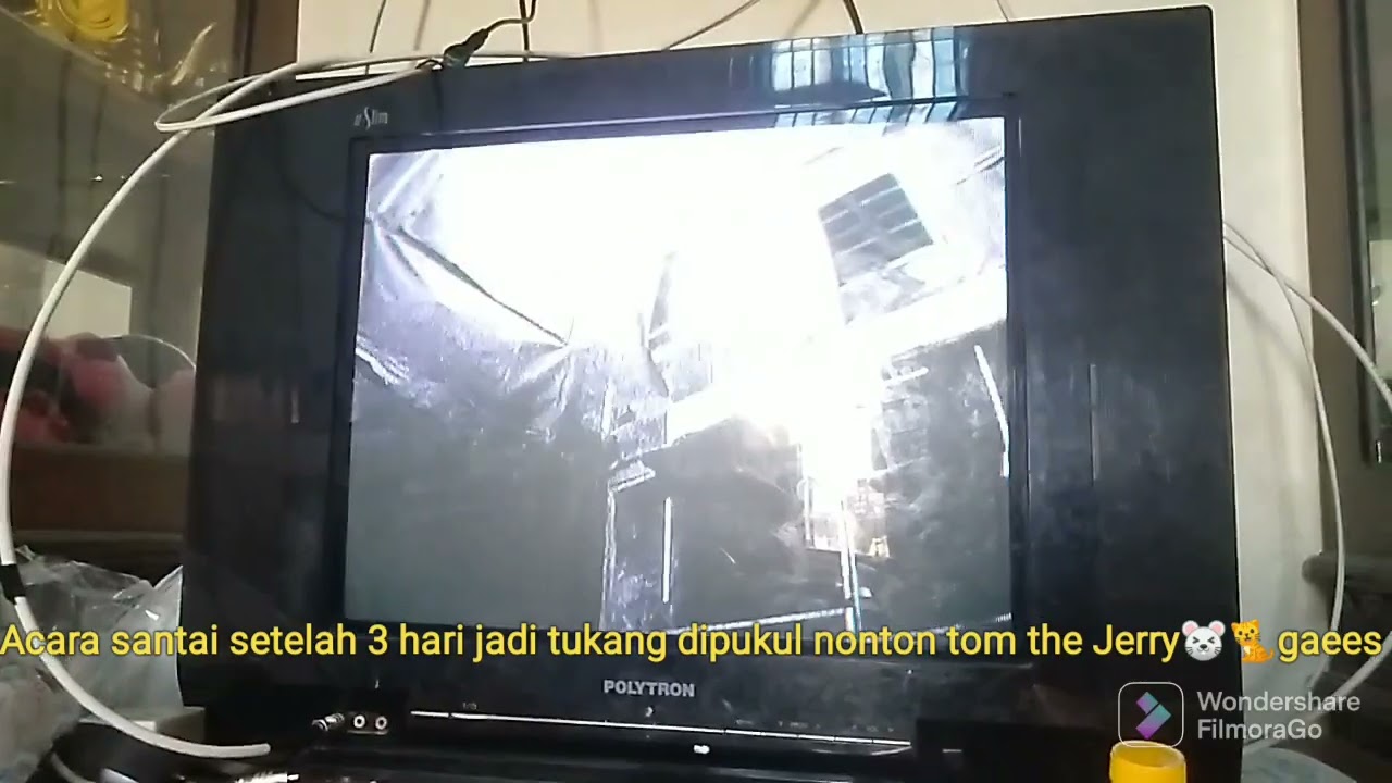 Rehap rbw 2L..1,4 bulan hasil 4 sarang 2 polesan gaes