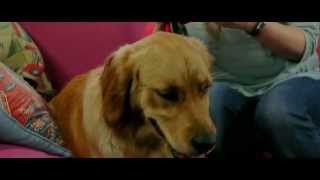 PURINA® PRO PLAN® Changes Lives: Kath's Testimonial