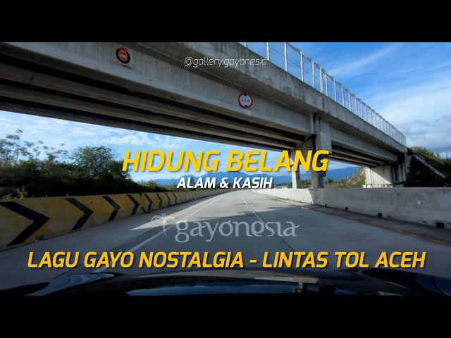 Lagu Gayo Hidung Belang (Alam & Kasih) | Lagu Gayo Nostalgia Perjalanan Lintas TOL Aceh class=