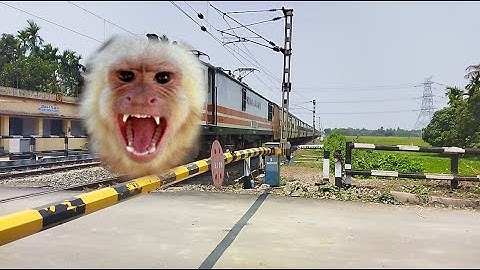 Monkey Headed Malda Intercity Express Dangerous & Furious Moving Out At Railgate