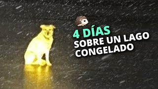 Su dueño sigue bajo el hielo