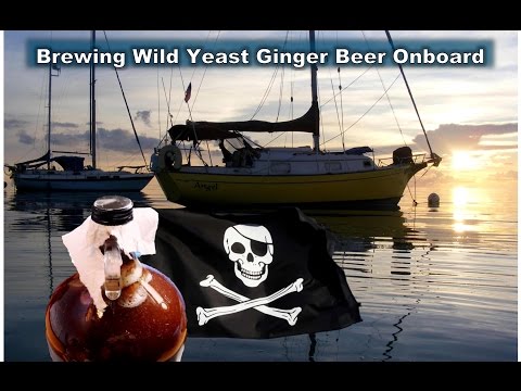 Making Alcoholic Ginger