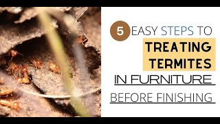 5 Steps to Treating Termites in Furniture Before Finishing