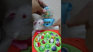 mini Candy Jackpot Machine with baby rabbits looking fishing games #shorts