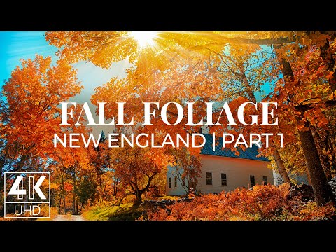 Video: New England Sonbahar Yeşilliklerinin Zirvesinde Nasıl Görülür