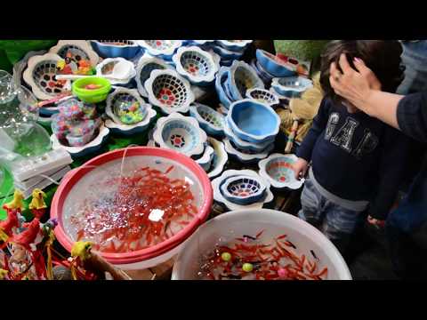 Nowruz is here