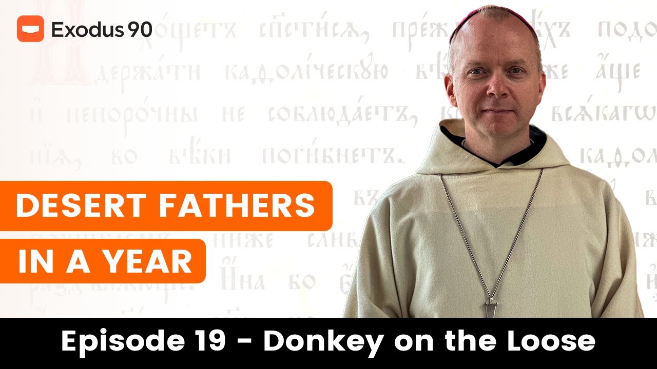 THE DESERT FATHERS IN A YEAR - EPISODE 19 - DONKEY ON THE LOOSE