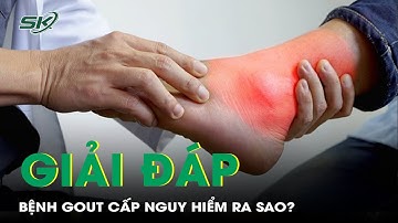 Bệnh gout cấp nguy hiểm ra sao? | SKĐS