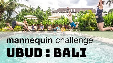 Hacker Paradise Does The Mannequin Challenge