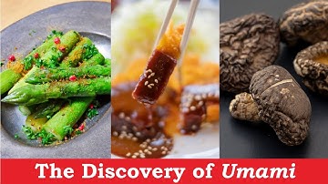 The Discovery of Umami