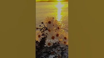 ( ان المتقين في ظلال وعيون🤍) آيات قرانية💚