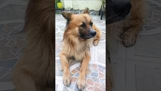 bhachpan louta do yaar 🥰 #shortfeed #explore #youtubeshorts #shorts #explorefeed 🥰