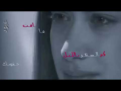 ودعتني ورحلت بحبك