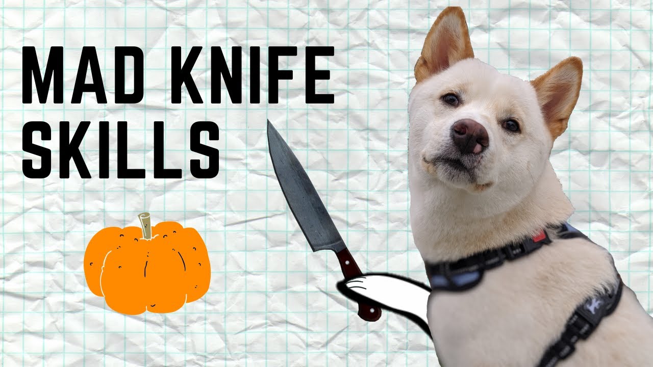 Making Natural Laxative for My Dog Pumpkin Puree YouTube