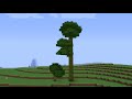 (Гайд) Как вырастить большой дуб и Большое тропическое дерево