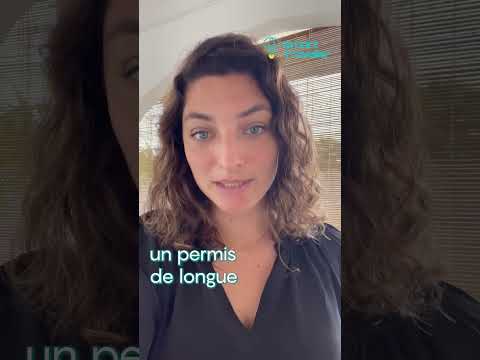 Assurance Locale Ou Internationale à Maurice Quoi Choisir