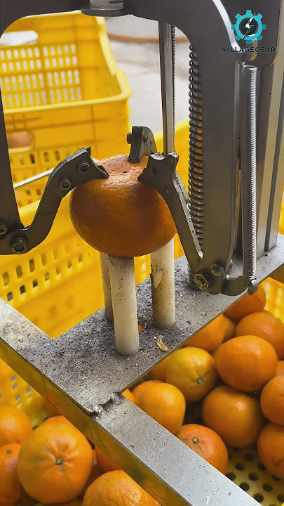 Machine for peeling oranges, used to make tangerine peel