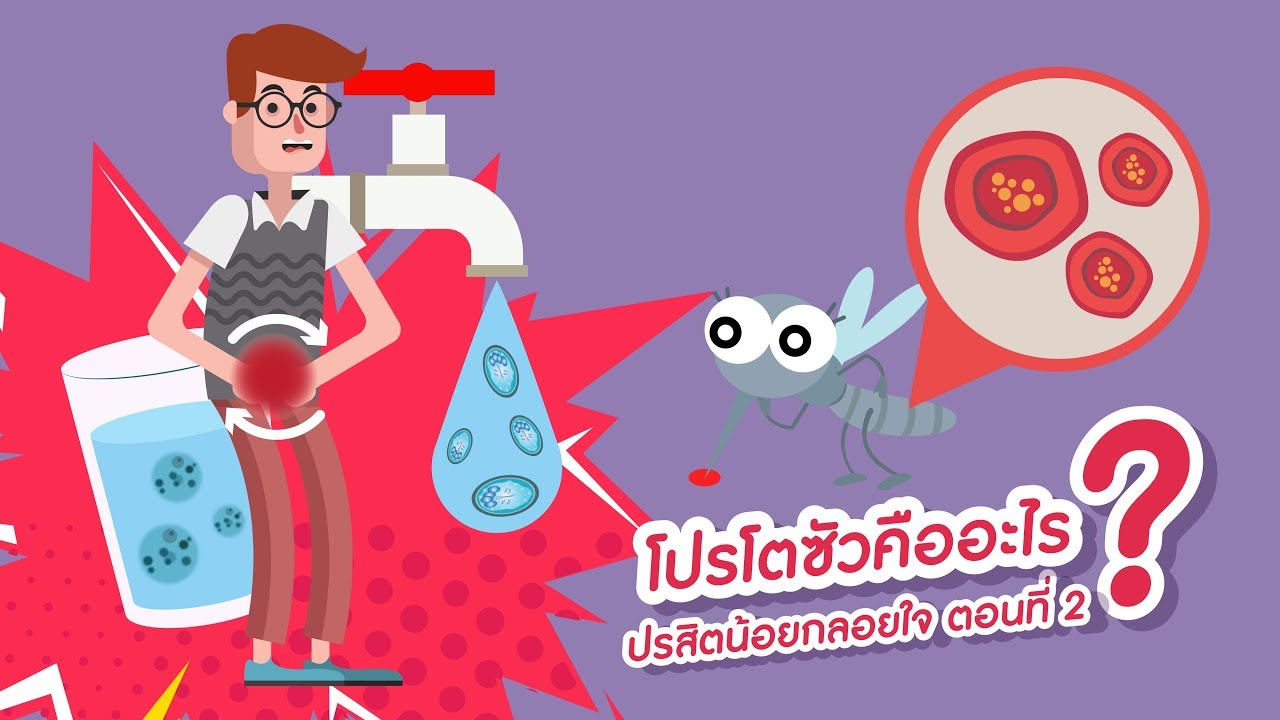 ปรสิตน้อยกลอยใจ ตอนที่ 2: โปรโตซัวคืออะไร