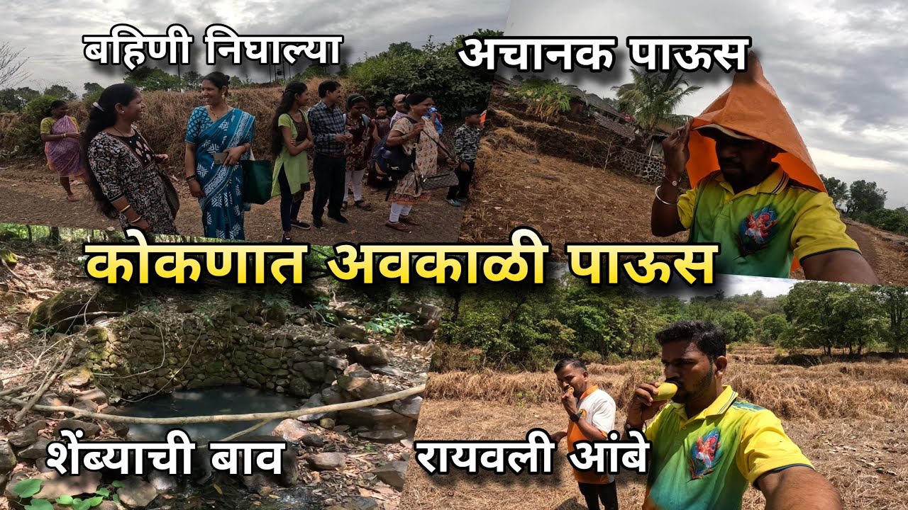 बहिणी निघाल्या मुंबईला, अवकाळी पाऊस, रायवली आंबे | Konkan Village Life Video Vlog | Kokankar Avinash
