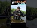 高額ルアーを落水させた結果が悲惨#Shorts