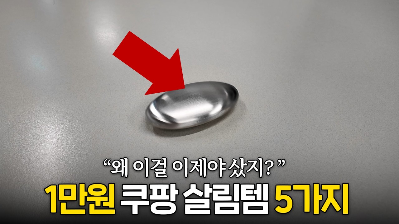 "나만 몰랐던 거야?" 쿠팡 1만원 살림 꿀템 TOP5