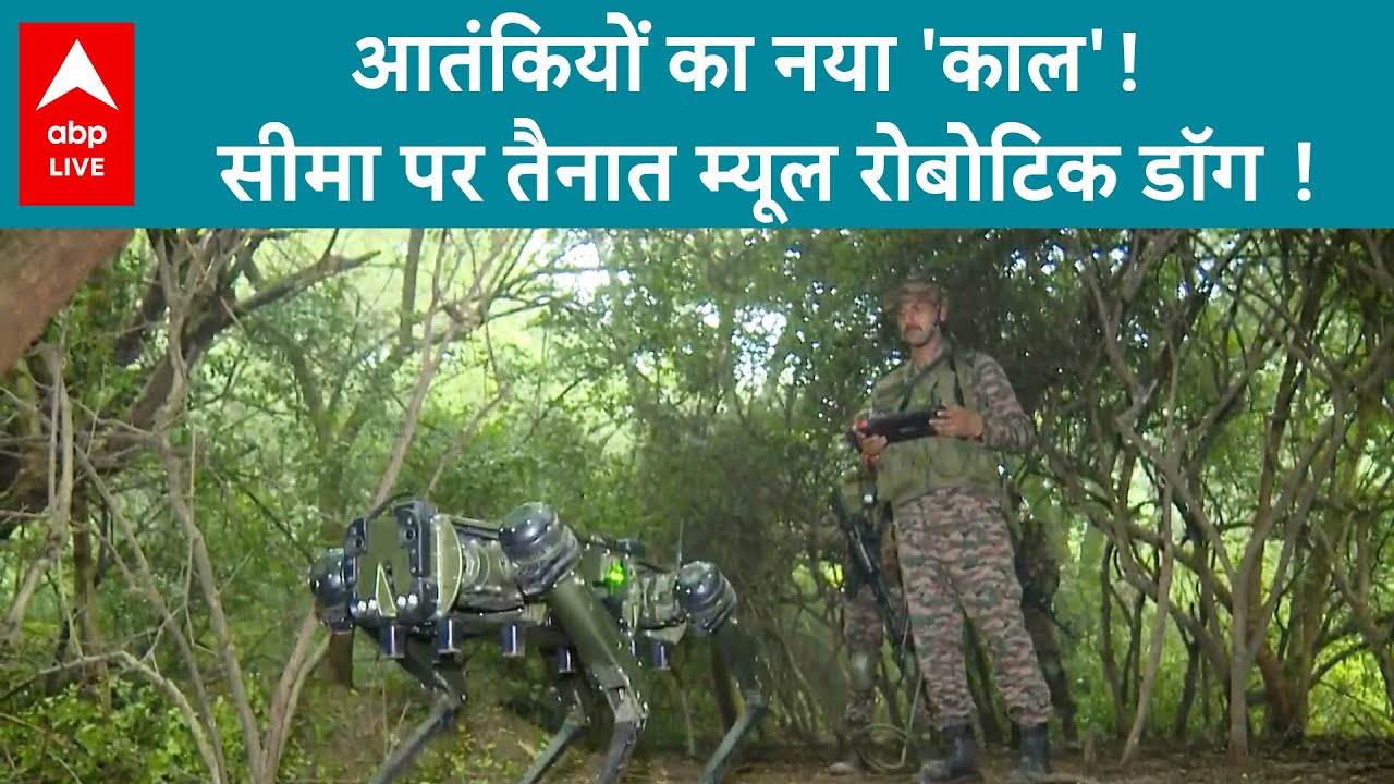 Robotic Mule: सीमा पर तैनात म्यूल रोबोटिक डॉग, HD कैमरे से लैस नया 'सिपाही' | ABP LIVE