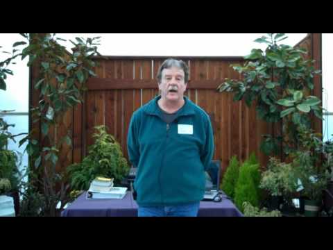 Ins and Outs of Weeds with Sonny Gohrman