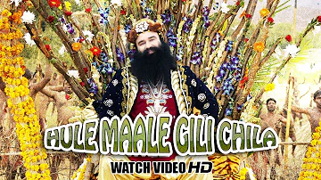 Hule Maale Gile Chila VIDEO Song | MSG-2 The Messenger | T-Series