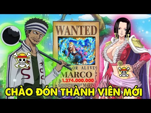 Boa Hancock, Gin, Marco | Top 7 Người Sẽ Gia Nhập Hạm Đội Mũ Rơm Trong Tương Lai [ Giả Thuyết OP